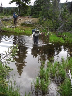 wading Fish Lake outlet, flooded by beavers (2009)